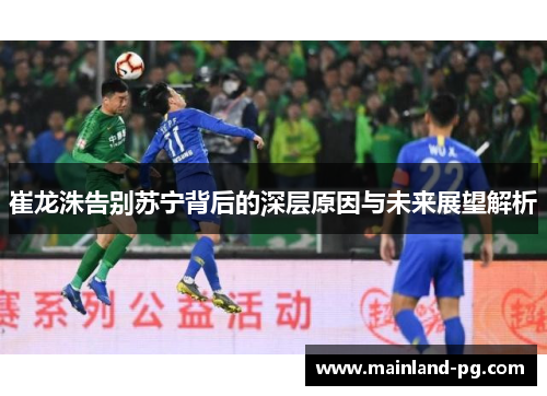 崔龙洙告别苏宁背后的深层原因与未来展望解析