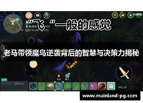 老马带领魔鸟逆袭背后的智慧与决策力揭秘