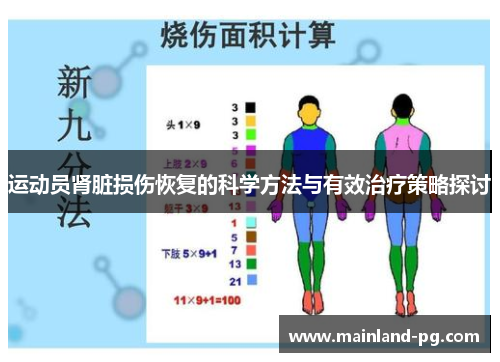 运动员肾脏损伤恢复的科学方法与有效治疗策略探讨
