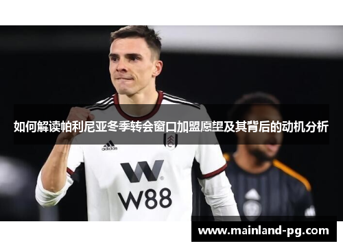 如何解读帕利尼亚冬季转会窗口加盟愿望及其背后的动机分析 如何解读帕利尼亚冬季转会窗口加盟愿望及其背后的动机分析
