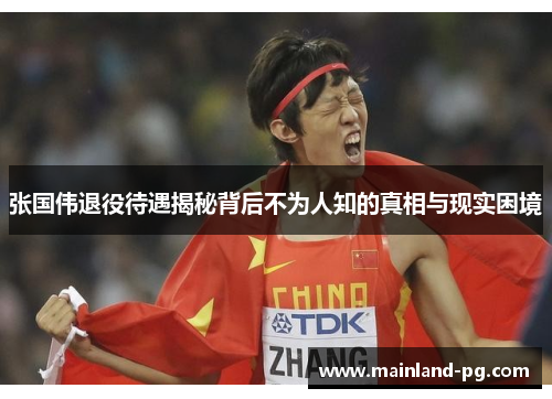 张国伟退役待遇揭秘背后不为人知的真相与现实困境 张国伟退役待遇揭秘背后不为人知的真相与现实困境
