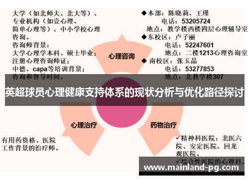 英超球员心理健康支持体系的现状分析与优化路径探讨