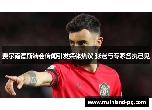 费尔南德斯转会传闻引发媒体热议 球迷与专家各执己见